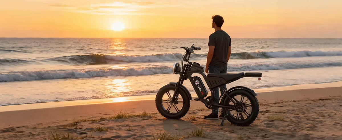 Factory Direct Price F6 48v 15.6Ah Hot Sale US Warehouse ElectricMountain EBike 20" Fat Tires With Plain Rear Passenger Seat - MERGE.DAY.1.FREESTYLE
