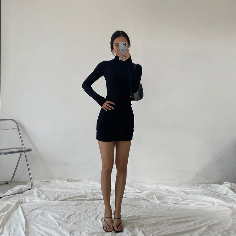 Spring Autumn Fashion Turtleneck Skinny Mini Dress Women Rib Knit Keep Warm Long Sleeve Dress - MERGE.DAY.1.FREESTYLE