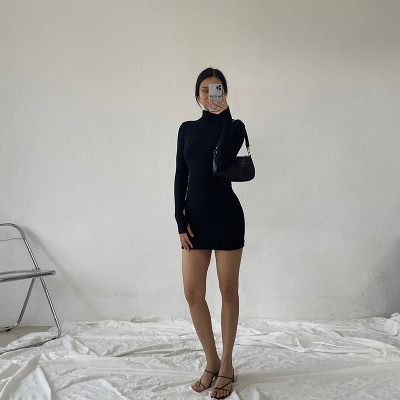 Spring Autumn Fashion Turtleneck Skinny Mini Dress Women Rib Knit Keep Warm Long Sleeve Dress - MERGE.DAY.1.FREESTYLE