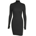 Spring Autumn Fashion Turtleneck Skinny Mini Dress Women Rib Knit Keep Warm Long Sleeve Dress - MERGE.DAY.1.FREESTYLE