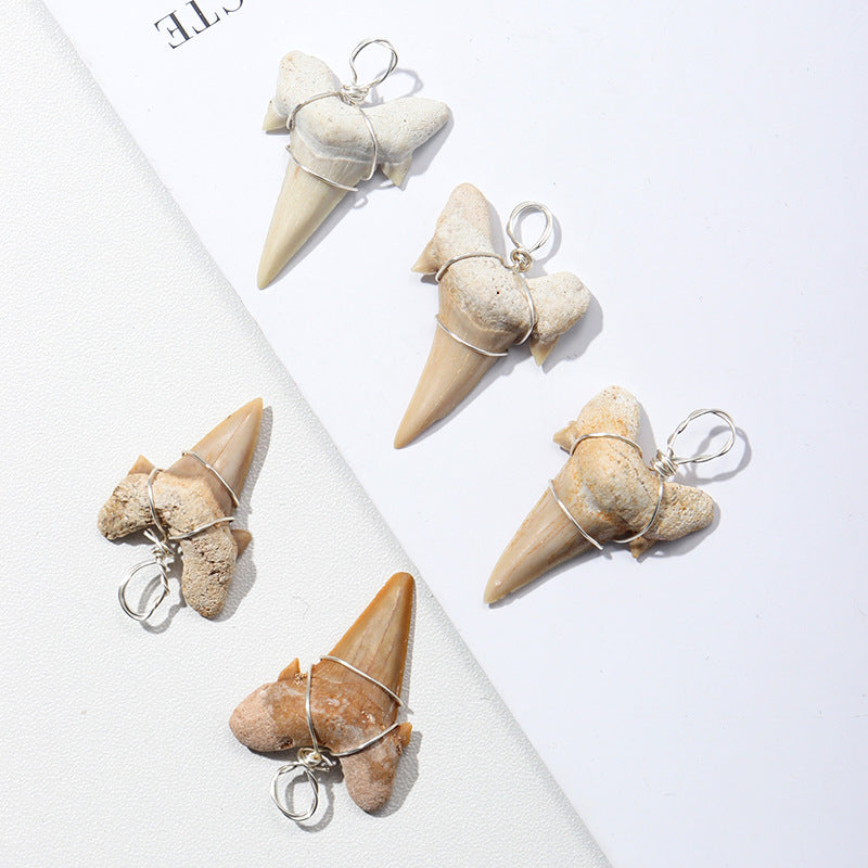 Large shark tooth necklace - MERGE.DAY.1.FREESTYLE