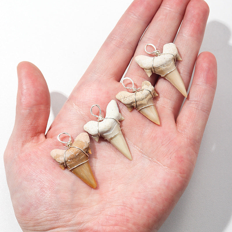 Large shark tooth necklace - MERGE.DAY.1.FREESTYLE