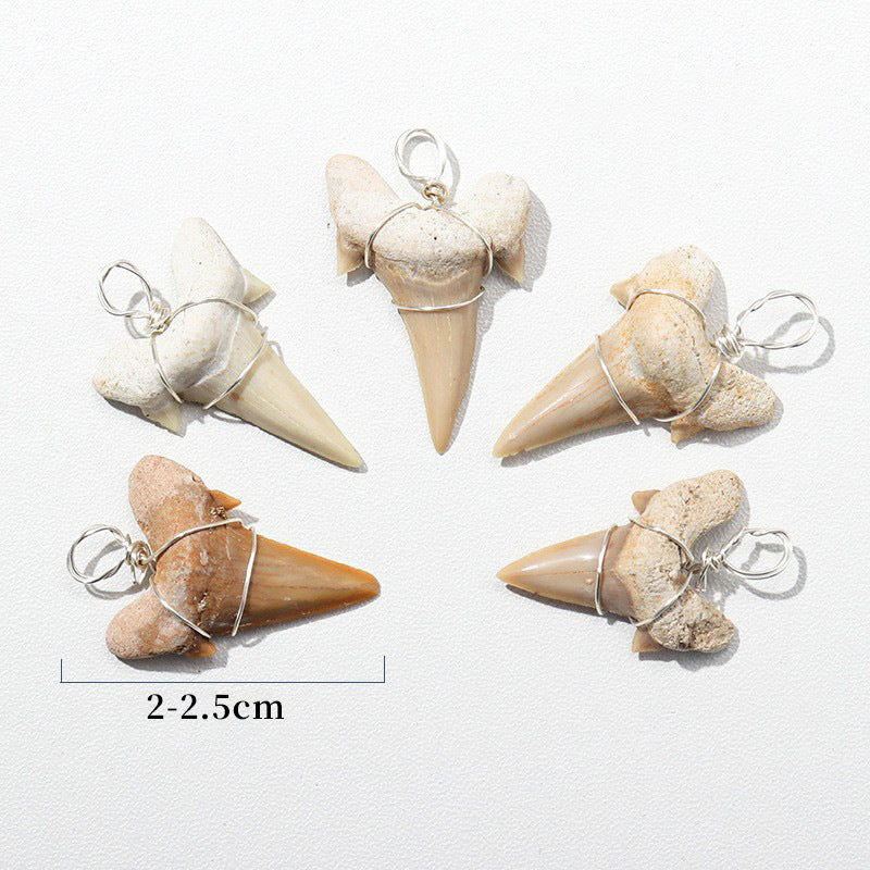 Large shark tooth necklace - MERGE.DAY.1.FREESTYLE