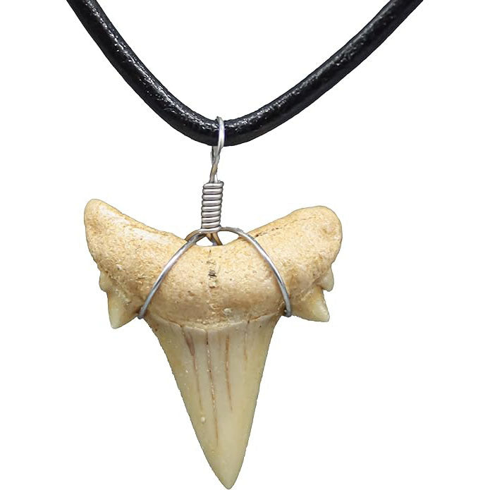 shark tooth necklace - MERGE.DAY.1.FREESTYLE