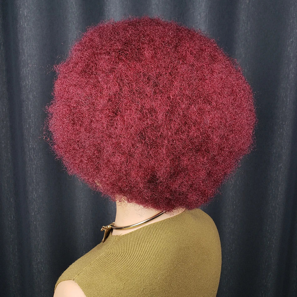 13x4 Short Afro Kinky Curly Bob Lace Front Braided Wigs for Black Women Curly Afro Puff Lace Frontal Wig Human Hair Brazilian - MERGE.DAY.1.FREESTYLE