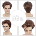 MSIWIGS Men Short Straight Wig Ombre Grey Brown Synthetic Wig White for Male Hair Fleeciness Realistic Natural Headgear - MERGE.DAY.1.FREESTYLE