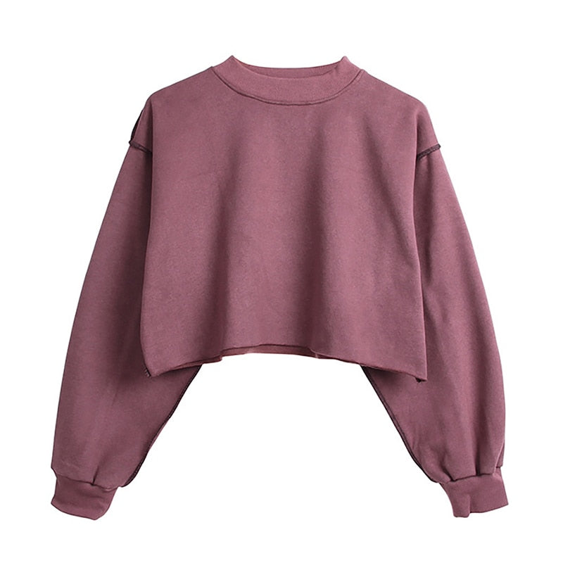 Thick Cotton Women Sweatshirt Hoodie Casual Loose Long Sleeve Streetwear Crop Pullover - MERGE.DAY.1.FREESTYLE