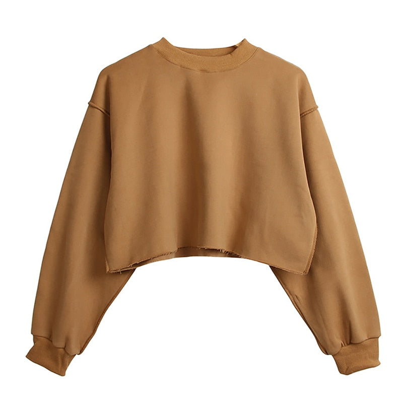 Thick Cotton Women Sweatshirt Hoodie Casual Loose Long Sleeve Streetwear Crop Pullover - MERGE.DAY.1.FREESTYLE