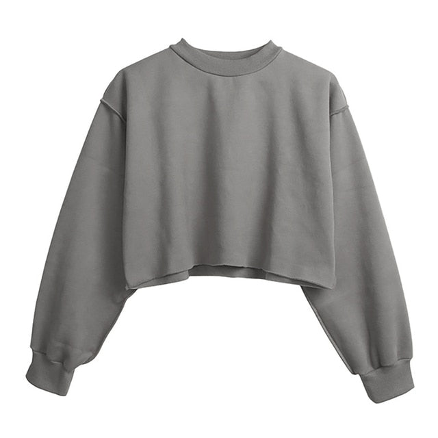 Thick Cotton Women Sweatshirt Hoodie Casual Loose Long Sleeve Streetwear Crop Pullover - MERGE.DAY.1.FREESTYLE