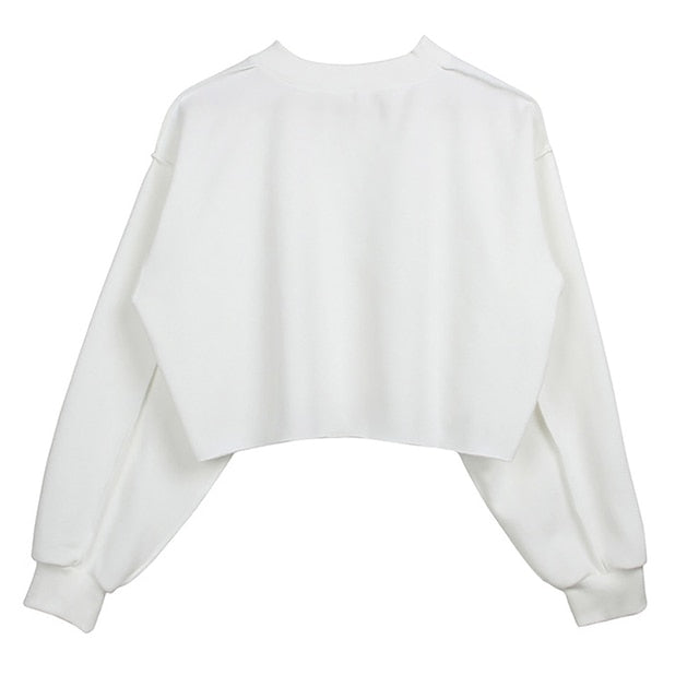 Thick Cotton Women Sweatshirt Hoodie Casual Loose Long Sleeve Streetwear Crop Pullover - MERGE.DAY.1.FREESTYLE